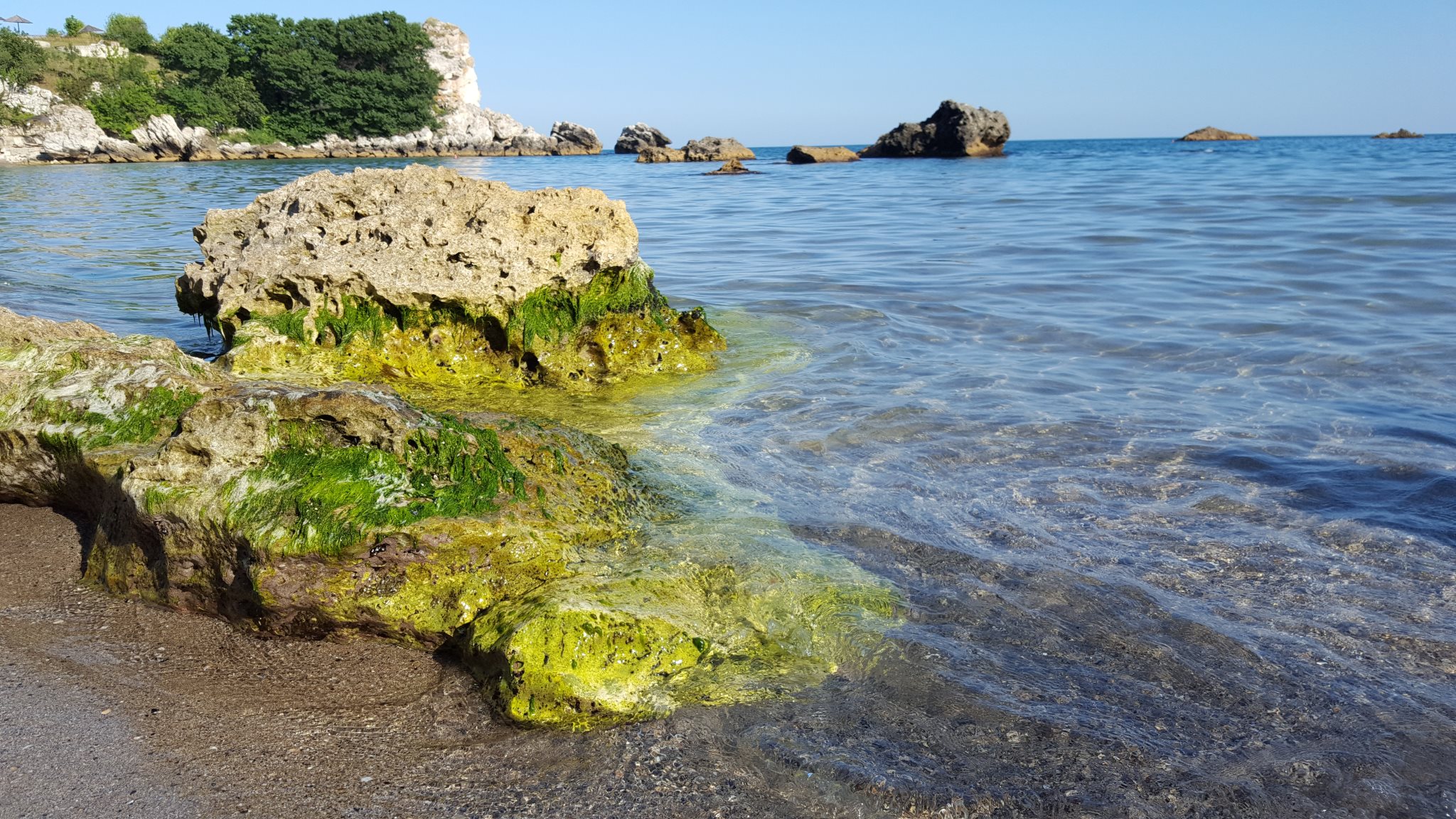 Черное море 8. Черное море Севастополь. Черное море Одесса. Black Sea area park18.